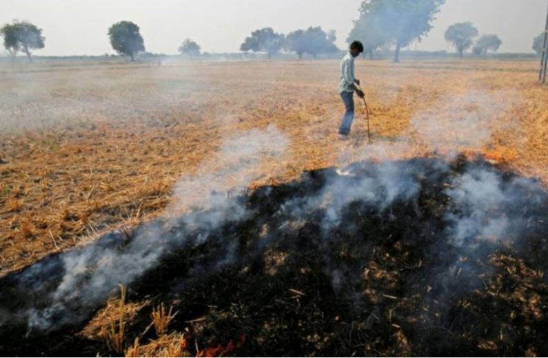 खेतमा पराल डढाउने चलनले आगलागीका घटना वृद्धि       